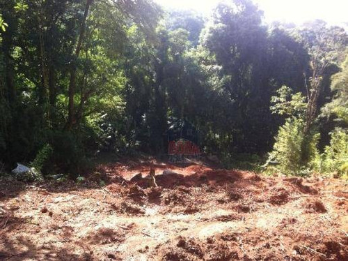 Imagem 3 de 4 de Terreno Residencial À Venda, Cacéia, Mairiporã. - Te0117