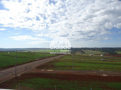 Imagem 10 de 14 de Terreno À Venda, Morumbi - Cascavel/pr - 11536