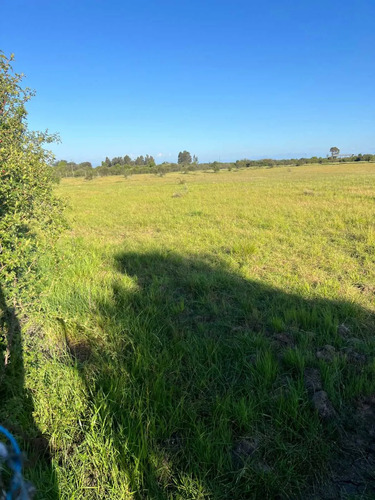 Se Vende Parcela De 5.000 Mt2 Cerca De Parral (126604)