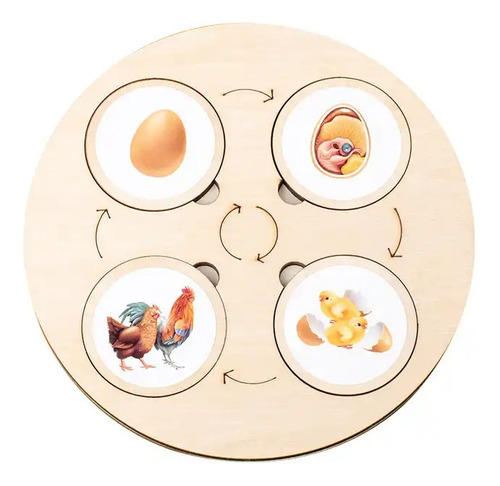 Rompecabezas Ciclo De La Vida Circle Of Life Playful Minds