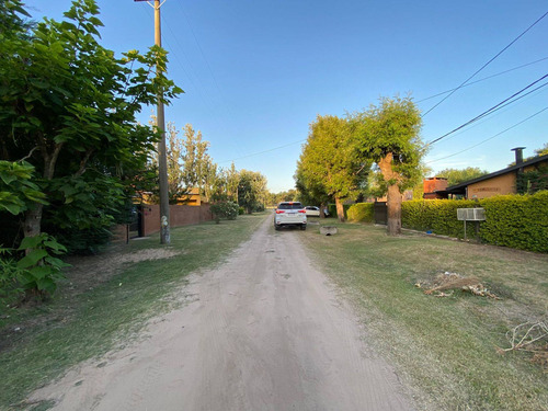 Imagen 3 de 21 de Terreno Forestado Y Cercado En Venta Altura Km10r1