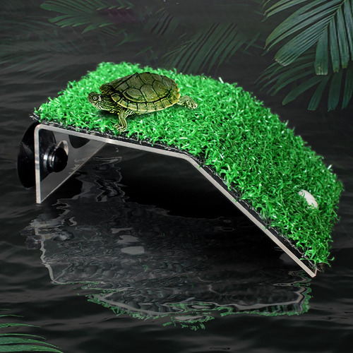 Accesorios Para Tanque De Tortugas Plataforma Para Tomar S