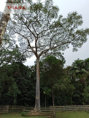 Imagem 10 de 15 de Chácara Em Finco - São Bernardo Do Campo - 11330