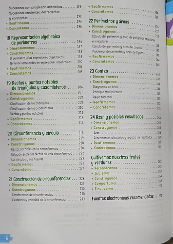 Matemáticas 1 Serie Constructores De Larousse Secundaria Nem