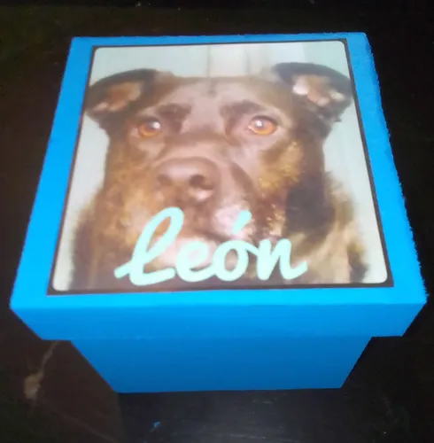 Cremación De Mascotas Zona Sur Y Gba