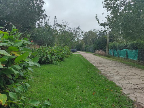 Imagen 1 de 5 de Terreno - Pilar
