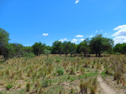 Salsacate Campo De 225 Hectareas Aprto Cultivo Ganaderia Turismo