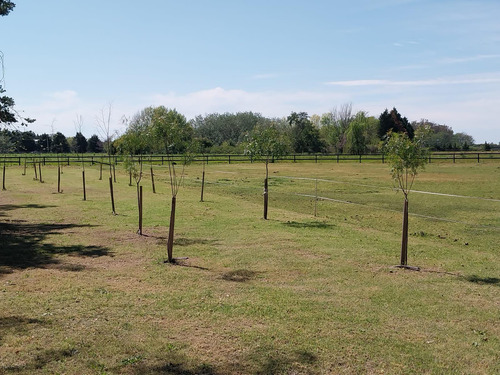 Terreno Con Importante Mejoras En Chacras Del Paraná - Zarate