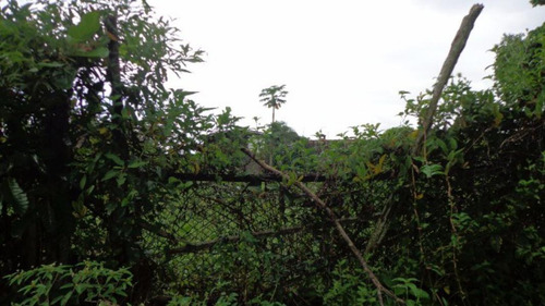Terreno Lado Praia Escriturado Em Itanhaém - 2599 | Npc