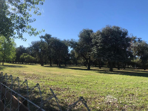 Terreno En Venta Villa Allende
