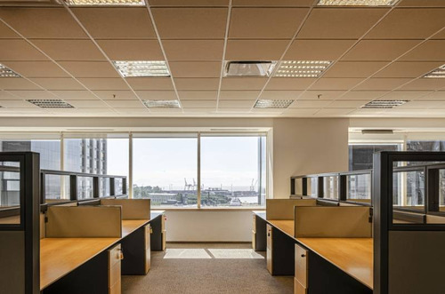 Imagen 6 de 19 de Oficinas Alquiler Catalinas