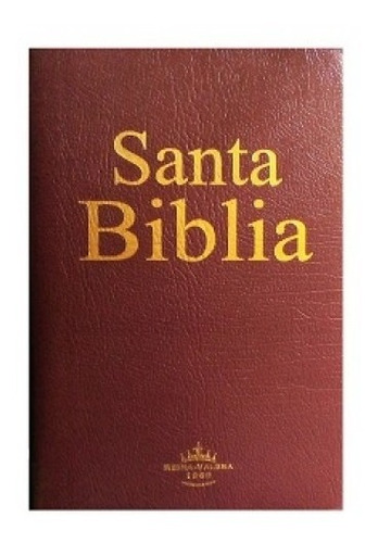 Biblia Reina Valera 1960 Imitación Piel 103714