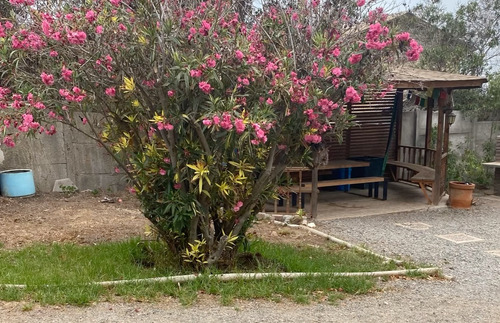 Encantadora Casa Para 12 Con Piscina Y Amplio Patio