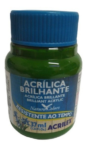 Tinta Acrílica Brilhante Verde Musgo - 513 - Acrilex - 37ml