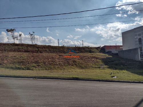 Imagem 3 de 3 de Terreno - Te00060 - 69827078