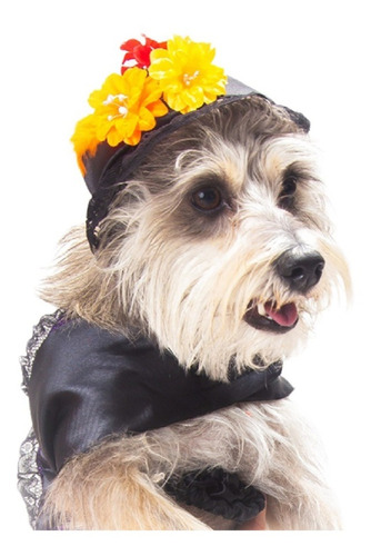 Disfraz Catrina P/perro Talla 6 Color Morado/negro Pet Pals