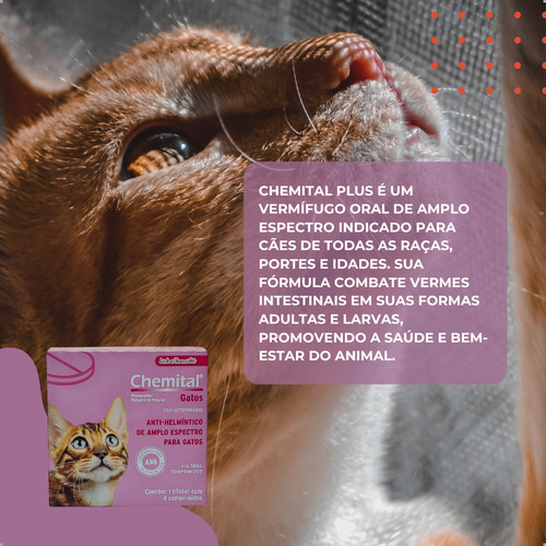 Kit 2 Chemital Vermífugo Gatos 4 Comprimidos Chemitec | Lojão Do Ferro