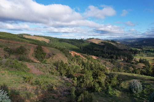 Imagen 10 de 14 de Oferta Hermoso Terreno En Lago Vichuquén - Vista Al Lago