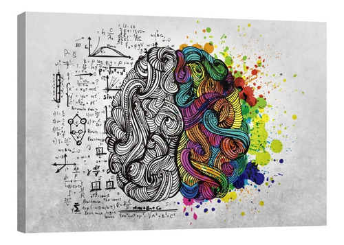 Cuadro Decorativo Canvas Artisitcas Esquema Cerebro Colores