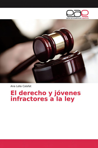El Derecho Y Jóvenes Infractores A La Ley (spanish Edition), De Calafat, Ana Lelia., Vol. 1. Editorial Oem, Tapa Blanda En Español