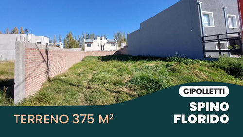 Terreno 375 M2 En Venta - Spino Florido Cipolletti