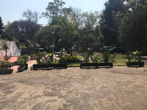 Imagen 4 de 5 de Lomas De Chapultepec