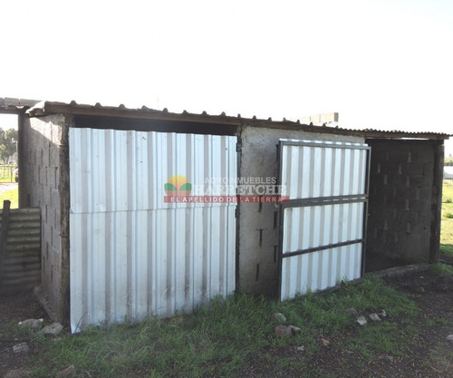 Imagen 16 de 21 de Chacra En Venta, 3 Has En Los Cerrillos, Casa Y Galones, Sobre Ruta!