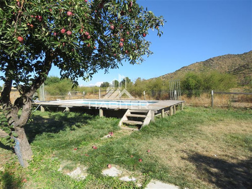 Imagen 14 de 24 de Agrícola En Venta En Maule