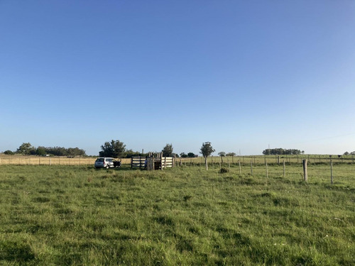 Imagen 8 de 14 de Campo De Casi 12 Hás En Ruta 40