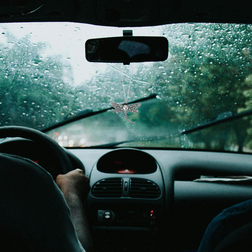 Accesorios Para Colgar En El Coche Bling Dragonfly: Crystal