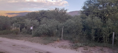 Imagen 5 de 11 de Terreno - Las Calles