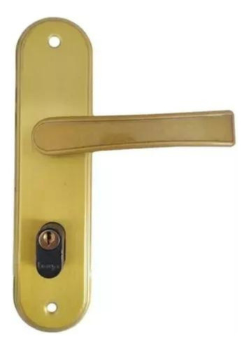 Fechadura Haga Cilindro Externa Dourada Porta De Aço Cor Dourado