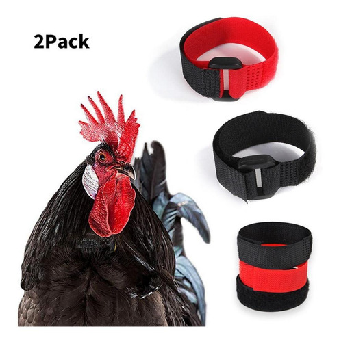 10x Collar De Gallo Anti Cuervo Para Evitar Que El Gallo 10x Collar De Gallo Anti Cuervo Para Evitar Que El Gallo