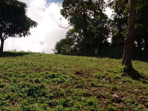 Imagem 13 de 24 de Casa À Venda, 2 Quartos, 8 Vagas, Batistini - São Bernardo Do Campo/sp - 47785