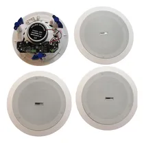 Comprar Kit Parlantes Bluetooth Techo 1 Activo 3 Pasivos 30w Wireles