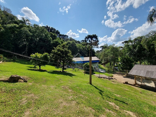 Imagem 23 de 30 de Linda Chacará Com Mais De 36.000 M², Situada Na Cidade De Quitandinha, Paraná. - Ch00019 - 70570203