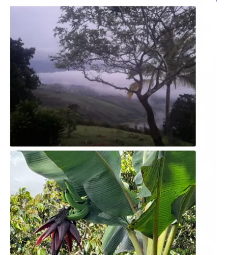 Venta De Finca De 8500mt2 En Dagua, Valle Del Cauca 6060.