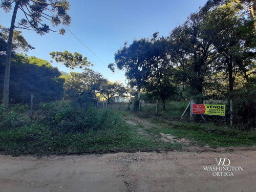 Imagem 7 de 16 de Chácara À Venda, 31000 M² Por R$ 600.000,00 - Cachoeira - São José Dos Pinhais/pr - Ch0066