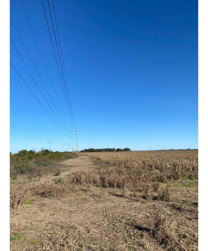 Campo Agropecuario/ Zona Industrial De 33ha Cercana A Puertos Cerealeros De Timbúes