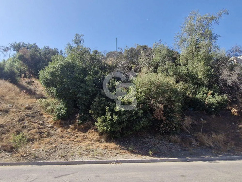 Inversión Terreno La Dehesa 1700 M2