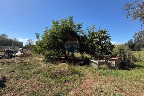 Arriendo Con Compromiso De Compra De 6.667 Mts2