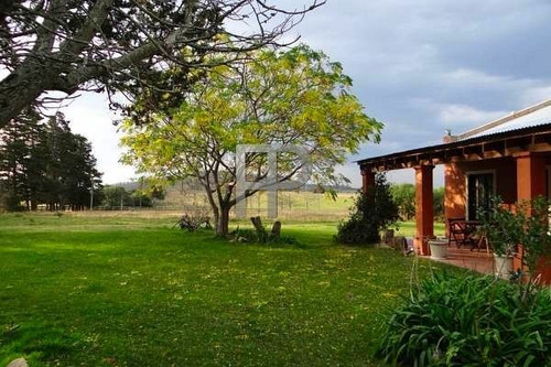 Imagen 2 de 15 de Chacra En Venta Laguna Del Sauce 3 Dormitorios, 5 Hectáreas