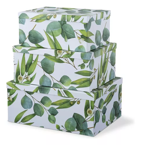 Soul & Lane Cajas Decorativas De Cartón Con Tapas Para Dec. Color Ramitas  De Verde
