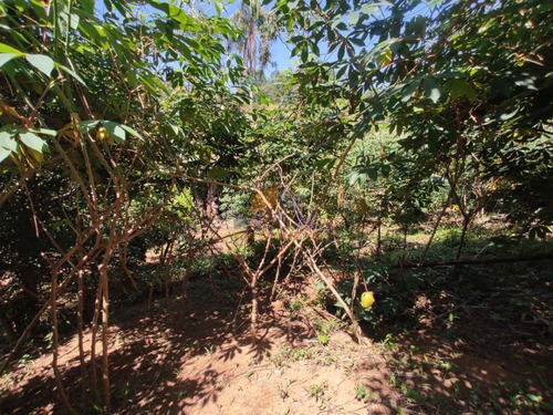 Imagem 8 de 12 de Terreno Para Venda Em Suzano, Jardim Das Flores - 944_1-1772740