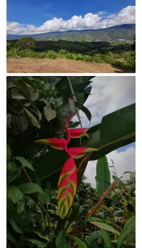Venta De Finca De 8500mt2 En Dagua, Valle Del Cauca 6060.