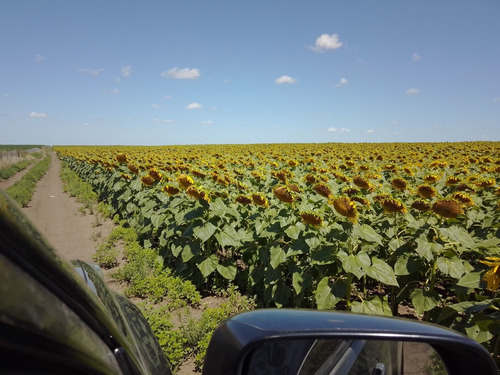 Imagen 6 de 6 de Campo En Venta De 2000000m2 Ubicado En Lobería