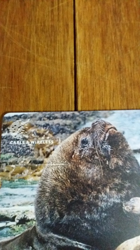 Tarjeta Telefonica De Las Falkland Islands (malvinas)