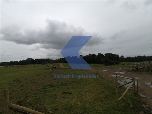 Agrícola Ganadero En Venta En Los Muermos