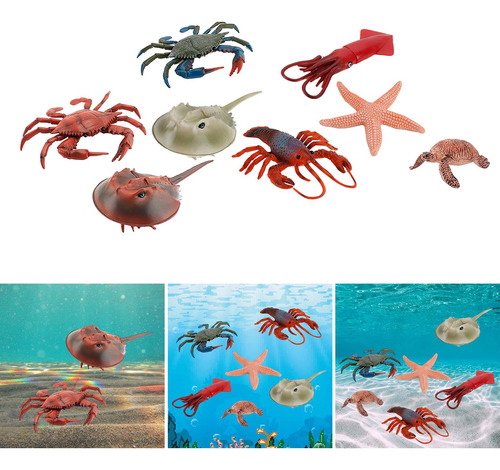 Colección De Regalos De Cumpleaños De Marine Life Animal