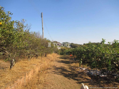 Imagem 12 de 20 de Chácara À Venda Em Macuco - Ch002532